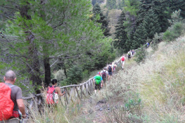 activities-2