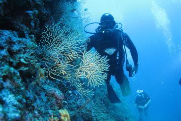 psaropouli-reef
