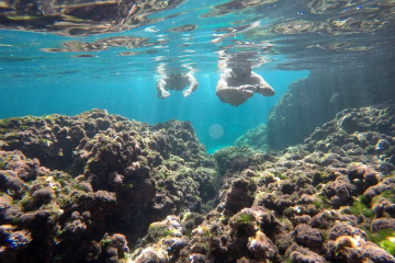 scuba-14