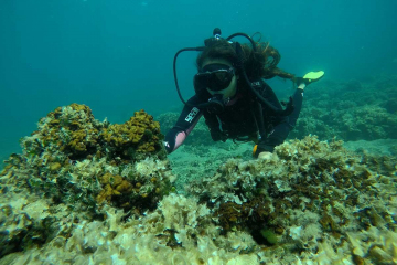 scuba-3
