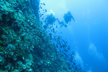 scuba-limionas-reef