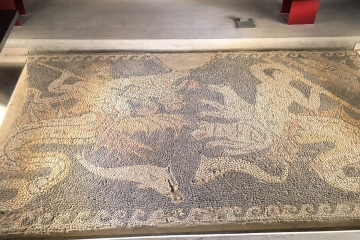 chalcis-museum-3